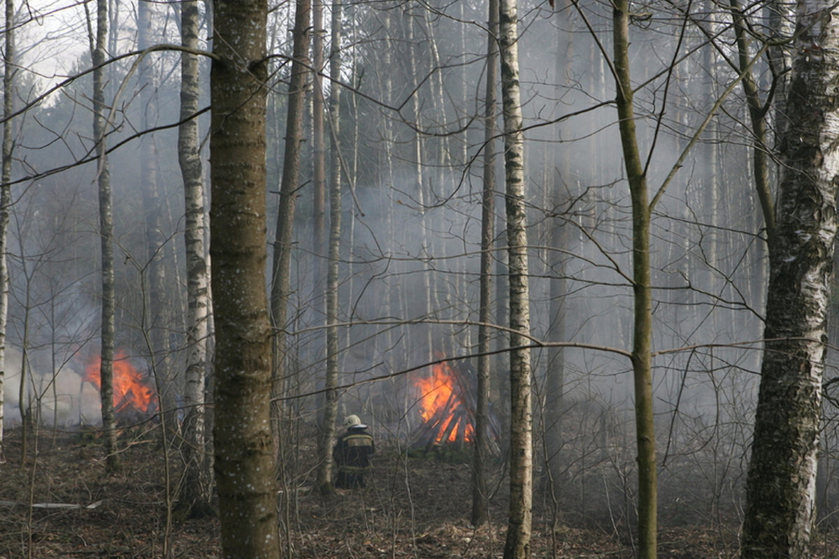 На территории Мурманской области ввели особый противопожарный режим