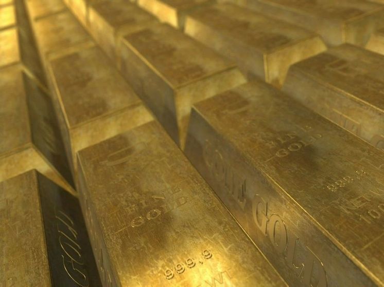 Национальное антикоррупционное бюро Украины заявило о планах вернуть 600 килограммов «золота Януковича»