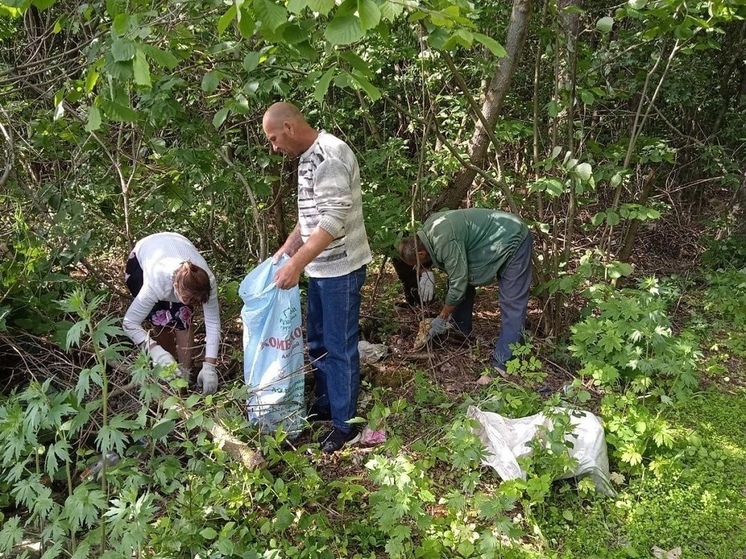 В Горшеченском районе Курской области провели субботник