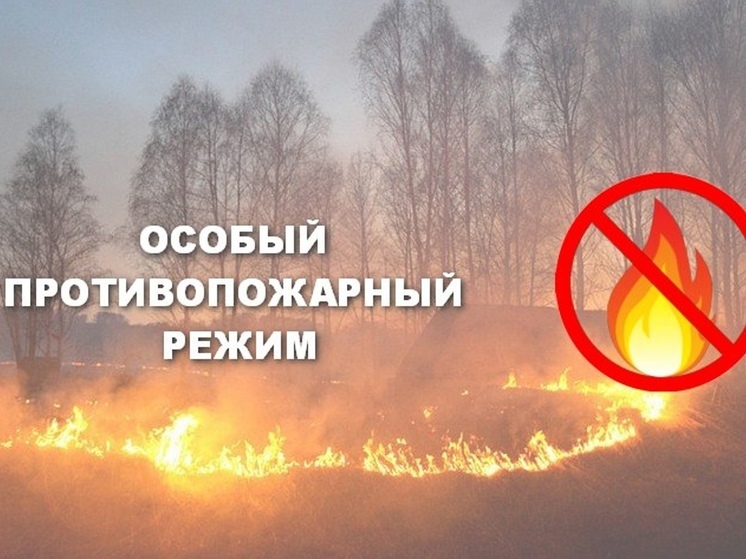 В Орле в связи с установившейся сухой и жаркой погодой введён особый противопожарный режим