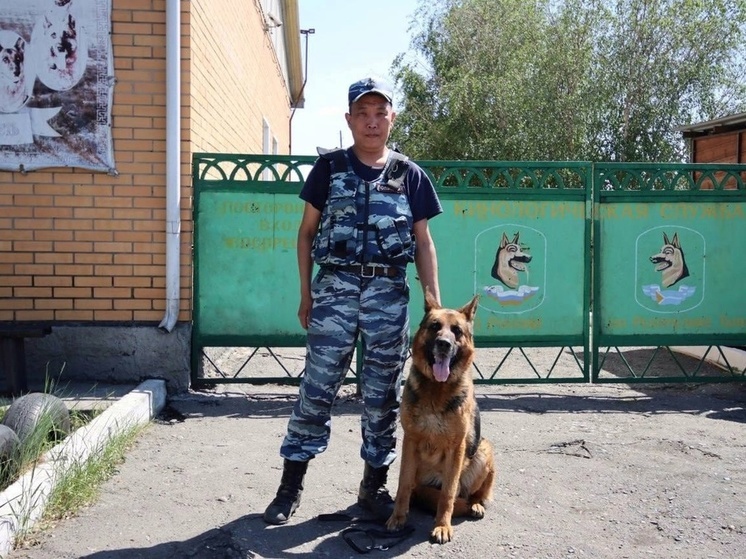 В Туве трудятся  4 полицейских - кинолога