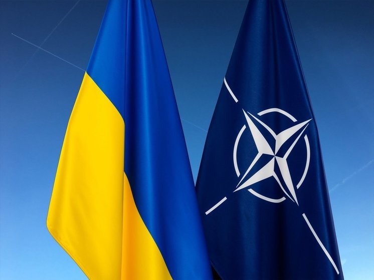 Британия и Франция допускают вступление Украины в НАТО в ускоренном порядке