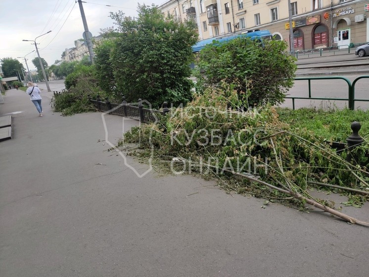 Новокузнечане пожаловались на мусор возле популярного дворца культуры