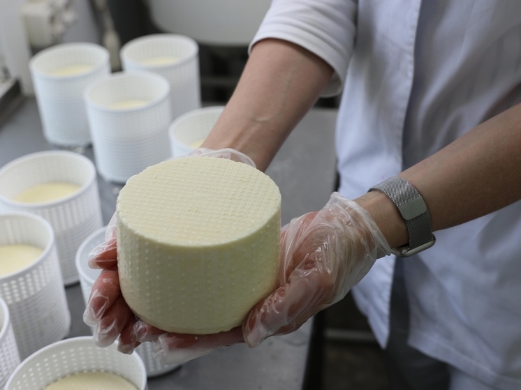В Красноселькупском районе запустили производство 5 сортов сыра