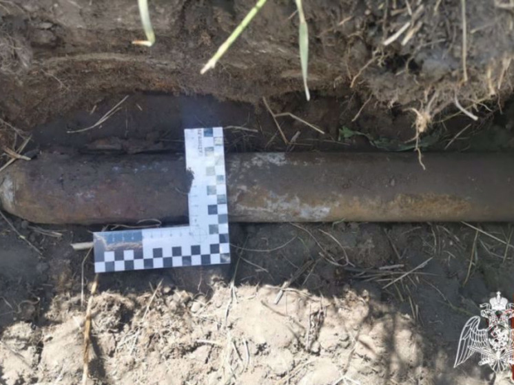 В Новосибирской области уничтожили боеприпас времён Великой Отечественной войны