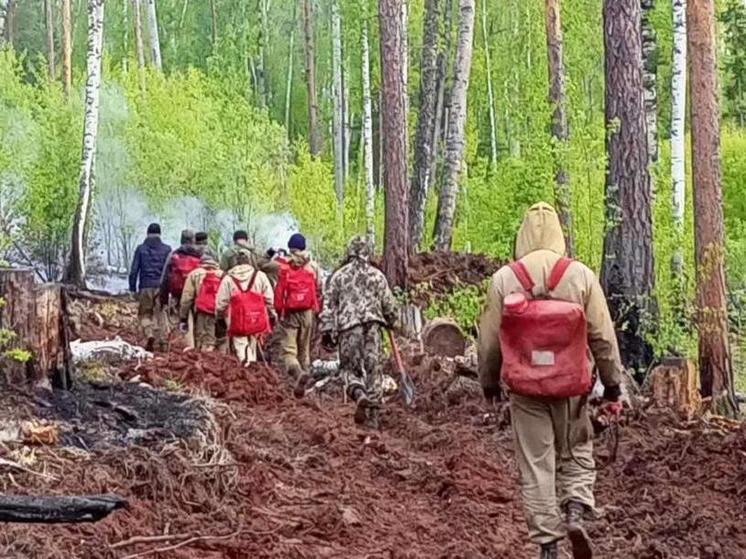 Три лесных пожара потушили в Приангарье за сутки
