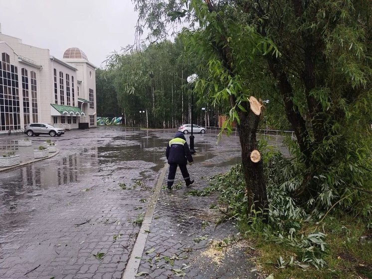 За сутки в Ханты-Мансийске ветер повалил 29 деревьев
