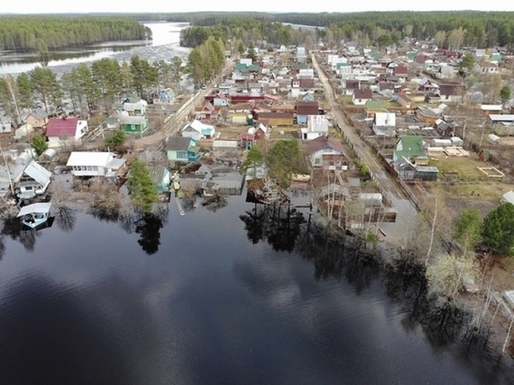Садоводы Карелии смогут создавать новые населённые пункты