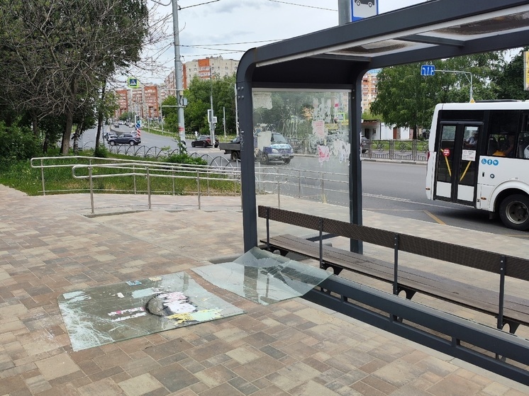 На улице Новосёлов в Рязани неизвестные разбили остановку