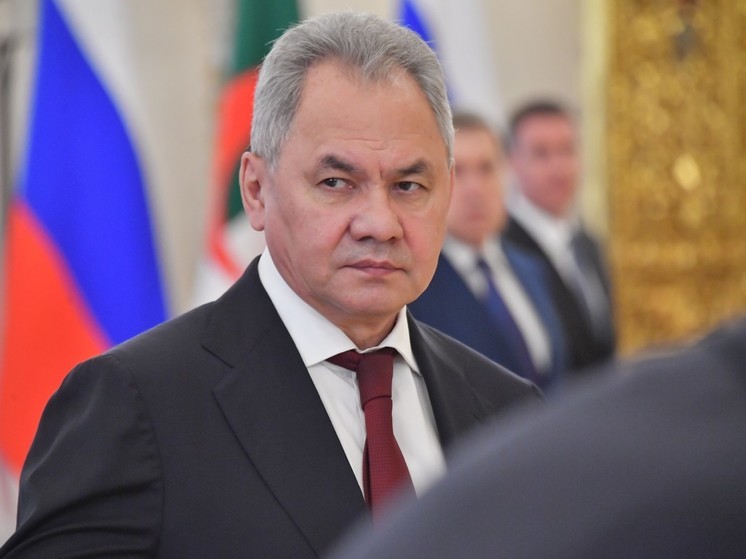 Шойгу: западные поставки оружия Украине существенно не повлияют на боевые действия