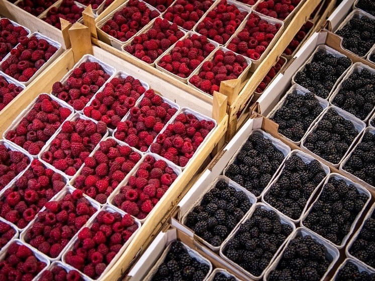 Диетолог Пониматкина предупредила россиян об опасности употребления немытых ягод