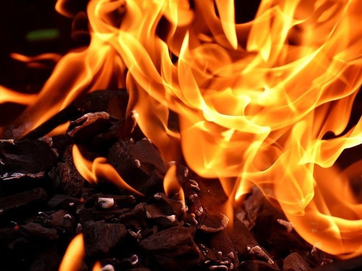 Пожары принесли ущерб на 59 млн рублей жителям Псковской области