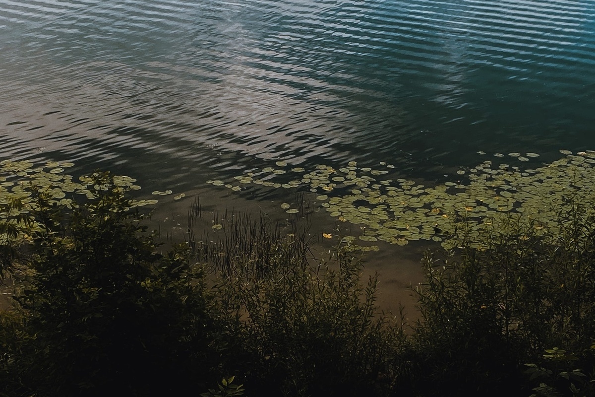 В озере Балтика в Тверской области нашли утонувшего мужчину