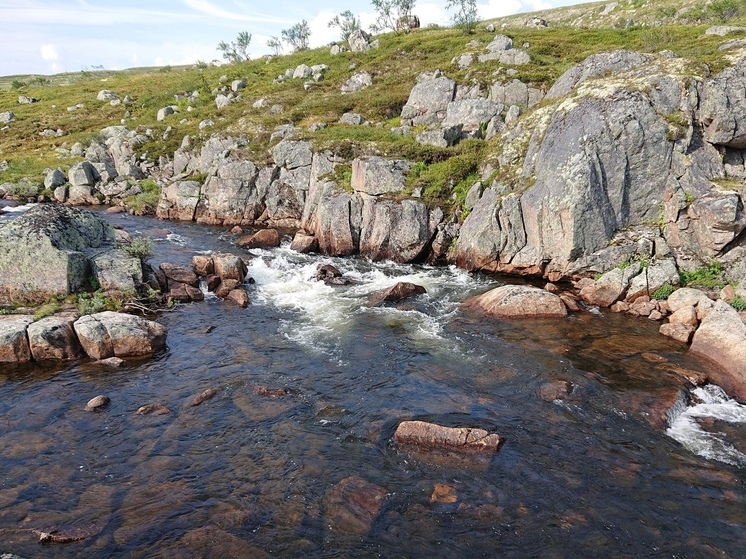 Портовики провели субботник на Верхнетуломском водохранилище