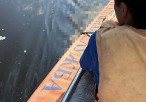 Спасатели нашли рыбака, который пропал на Новоладожском канале три дня назад. Об этом сообщили в официальном telegram-канале «Аварийно-спасательная служба ЛО».