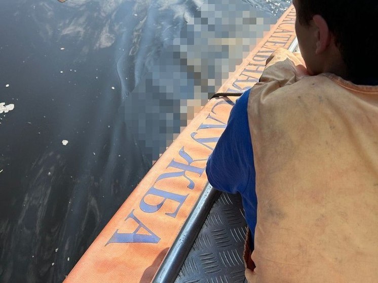 Спасатели нашли пропавшего на Новолодажском канале рыбака, он погиб