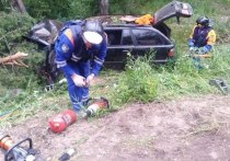 Водитель иномарки погиб в аварии с деревом в деревне Каушта 22 июня. Об этом сообщили в пресс-службе аварийно-спасательной службы Ленобласти.