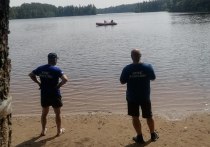 Две бригады спасателей искали труп мужчины в Длинном озере в Приозерском районе. Об этом сообщили в официальном telegram-канале «Аварийно-спасательная служба ЛО».