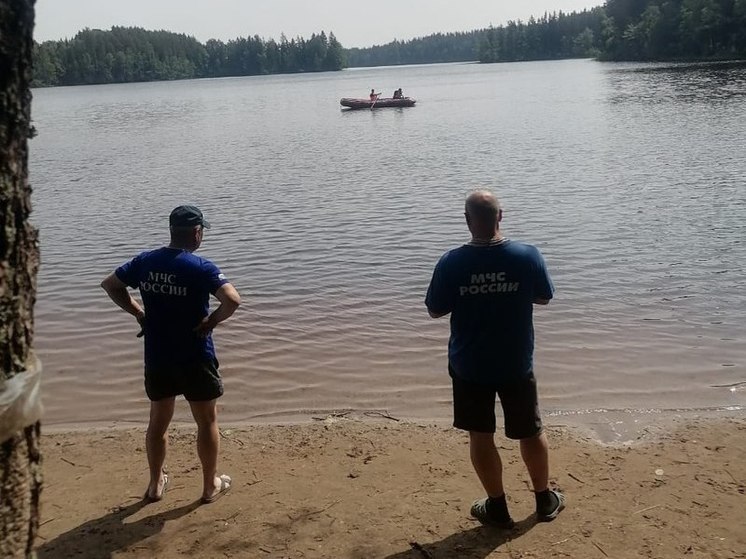 Две бригады спасателей искали утопленника в Длинном озере