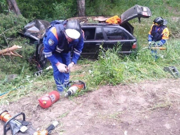 Водитель BMW серьезно пострадал при столкновении с деревом в деревне Каушта