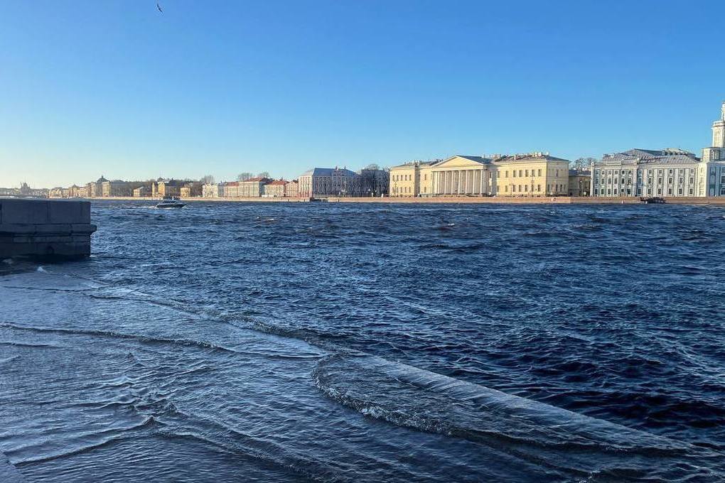 Вода в питере. Река Нева в Санкт-Петербурге. Река Смоленка набережная в Санкт-Петербурге. Питер Нева наводнение 12 ноября. Набережная реки Нева Санкт-Петербург.