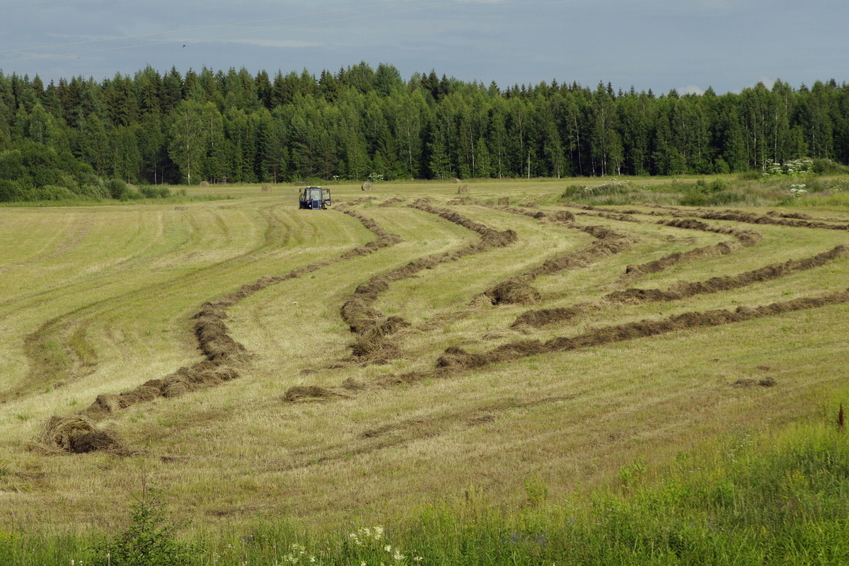 В Калининградской области фермерам запретят строить дома на землях сельхозназначения