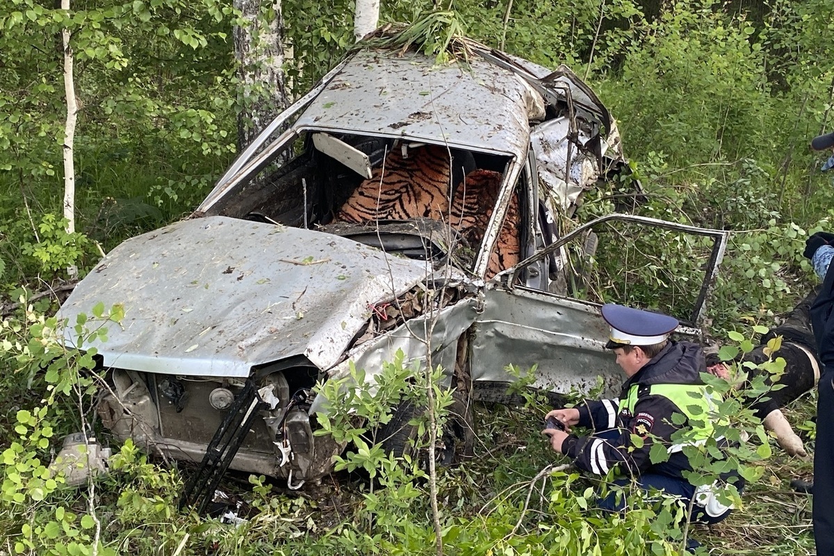 Водитель в Ирбитском районе погиб, вылетев из опрокинувшегося автомобиля -  МК Екатеринбург