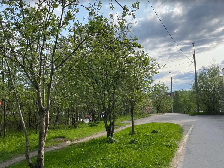 Кольское Заполярье помогает Белгородской области