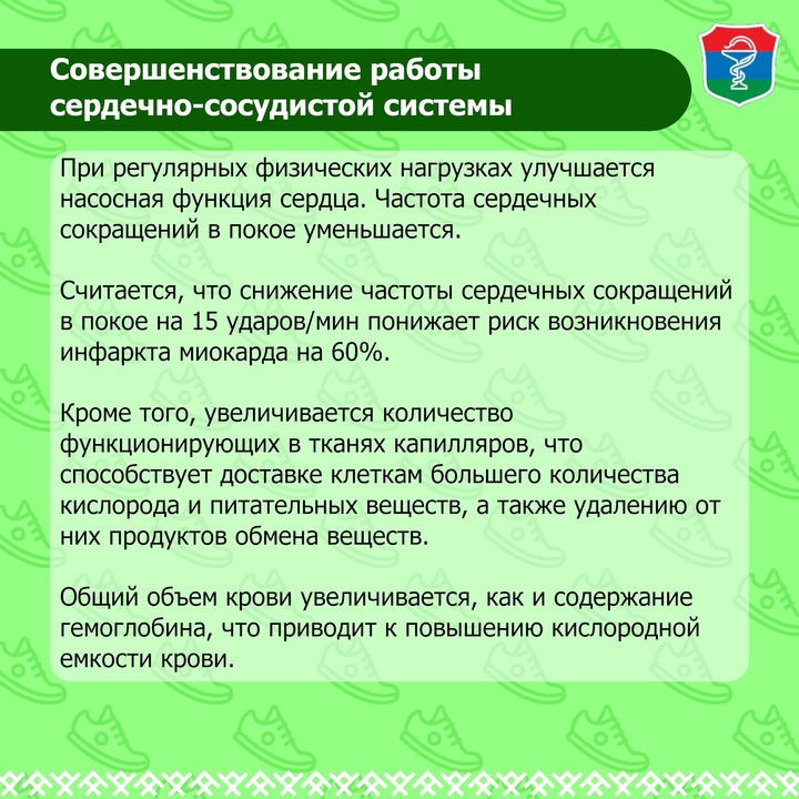 Влияние физической активности на здоровье человека проект