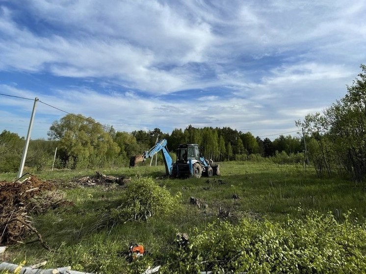 В Тульской области нашли 300 тонн "сомнительного" семенного картофеля из Беларуси