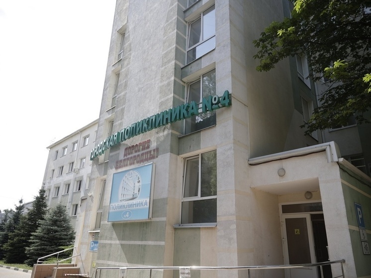 Диаграмма белгород музей