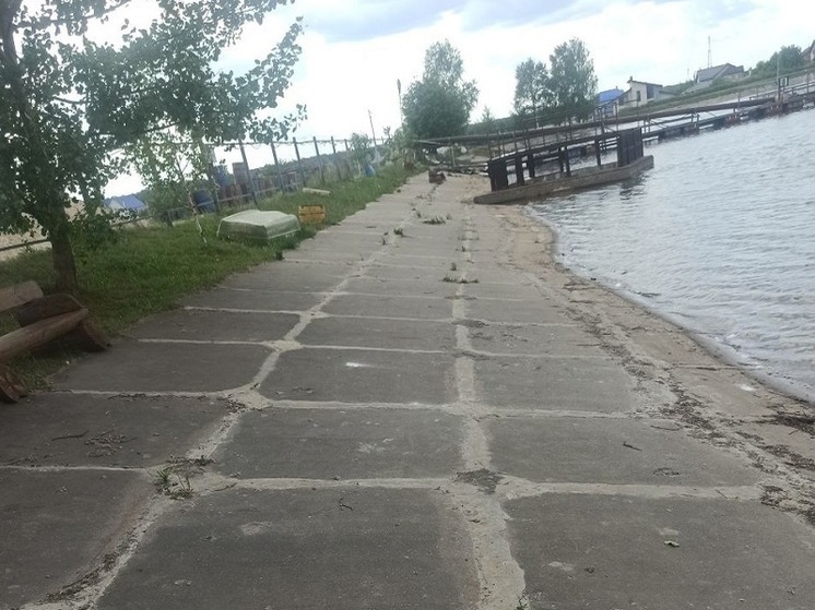 Капитальный ремонт плотины проведут в Чехове для предотвращения возможного ущерба