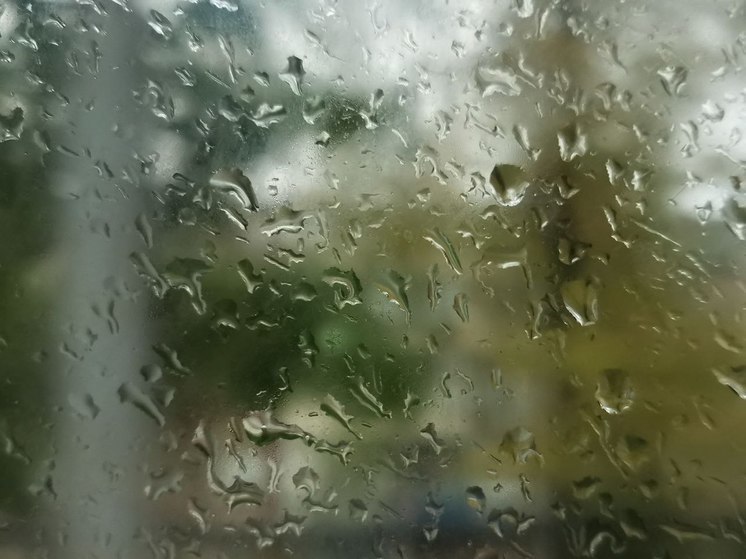 В Приамурье 24-27 июня ожидаются дожди