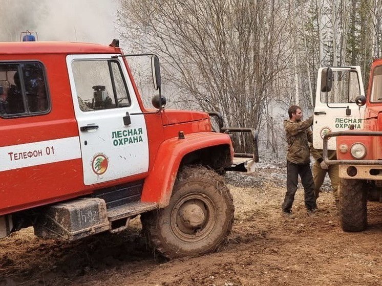 Пять лесных пожаров потушили в Приангарье за сутки