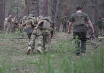 В столице Украины устроят «охоту на волков»

