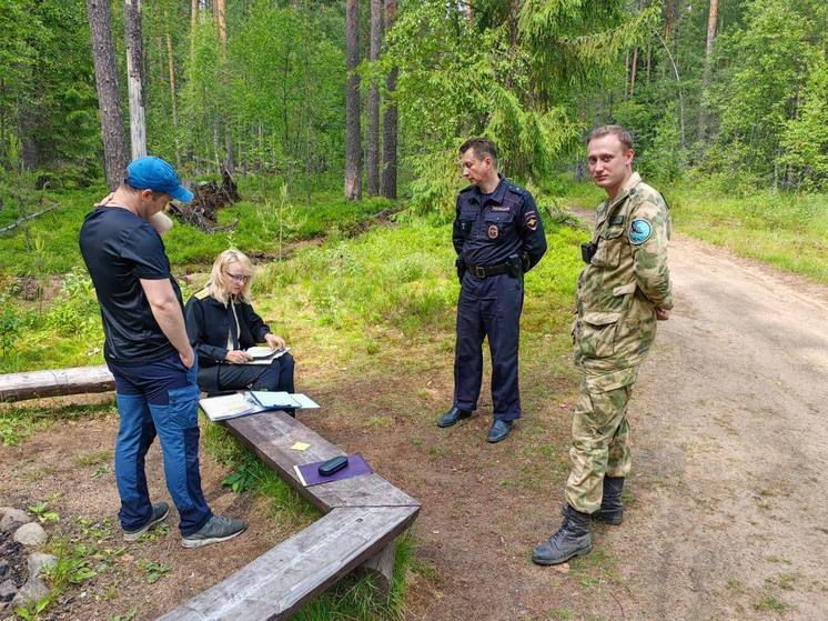 Десять нарушителей пожароопасного режима в лесах нашли в Ленобласти