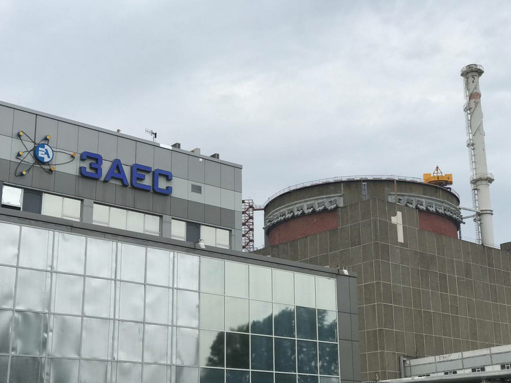 На Украине резко вырос спрос на йод после слов Зеленского о Запорожской АЭС