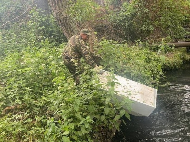 В Калининграде в воду выкинули два холодильника