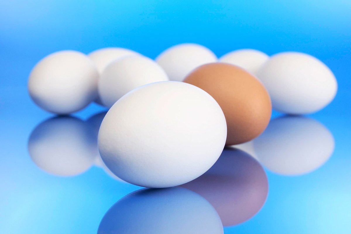 Высокотехнологичное яйцо позволит создать совершенные инкубаторы