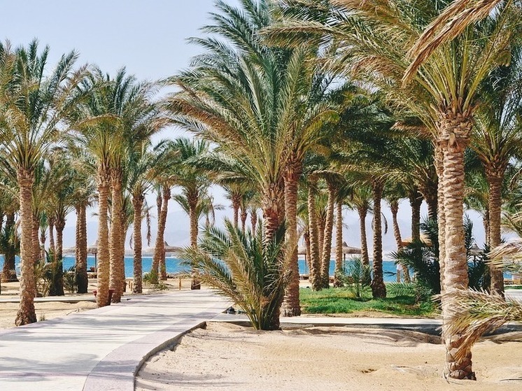 RIA Novosti: Polish tourist attacked Russian in Egyptian resort