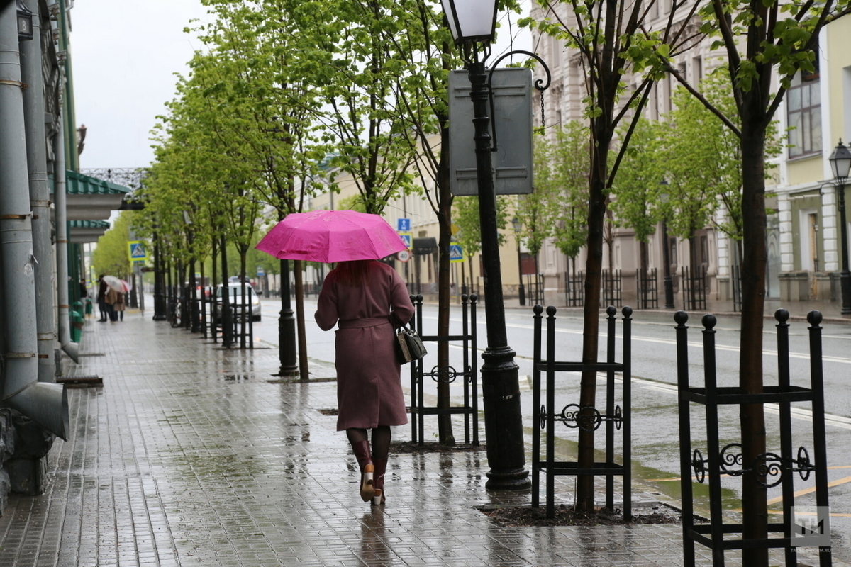 Потепление в Татарстан придет с дождями и грозами
