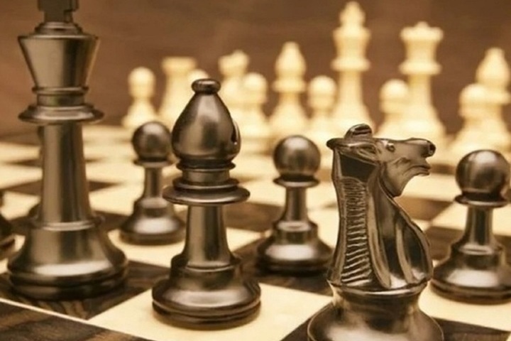 В Костромском университете подготовили 28 педагогов-преподавателей игры в шахматы