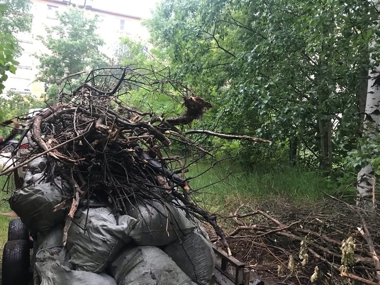 Волонтеры самостоятельно убрали мусор около исторического дома после бездействия властей