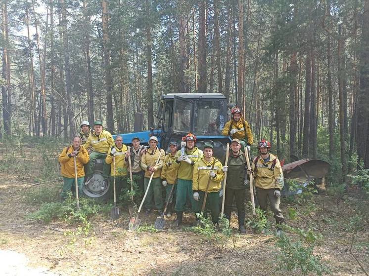 Масштабный лесной пожар в Егорьевском районе локализован