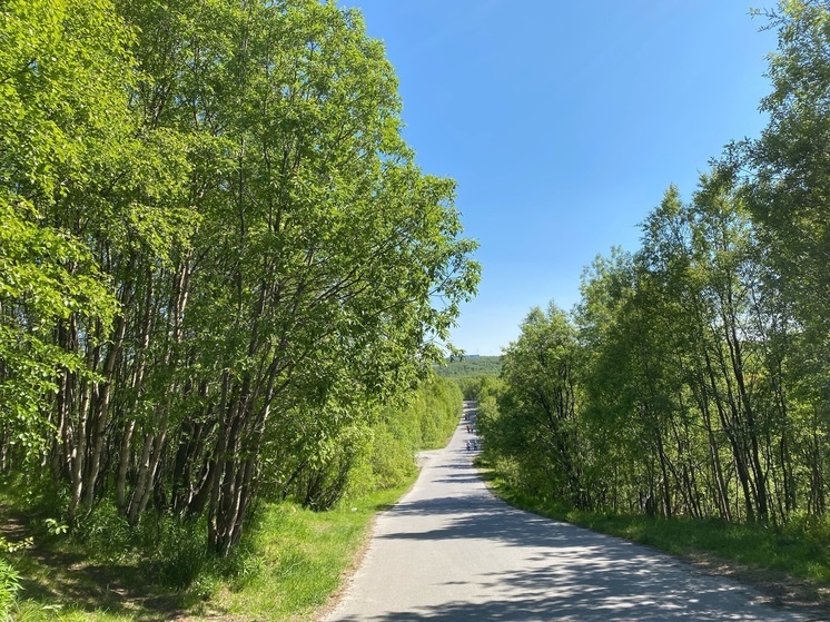 В мурманской Долине Уюта проведут бесплатные спортивные тренировки