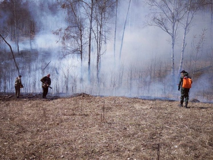  В Приангарье за прошедшие сутки был ликвидирован 1 лесной пожар