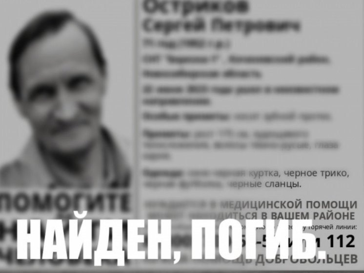 Под Новосибирском обнаружили тело пропавшего 71-летнего дачника