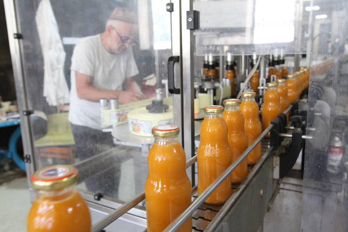 Завод по переработке овощей и фруктов вновь запустили в Дагестане