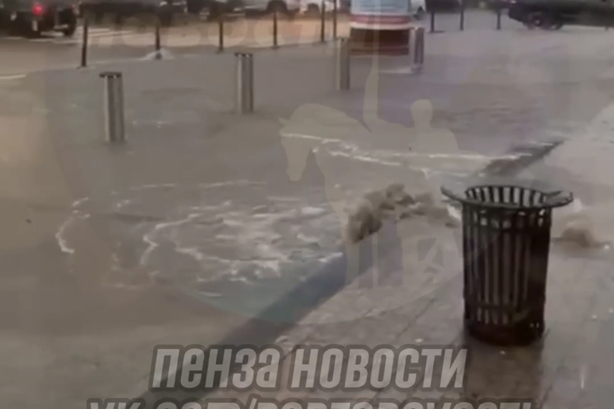 Вода бьет фонтаном: в Пензе дождь затопил улицу Московскую