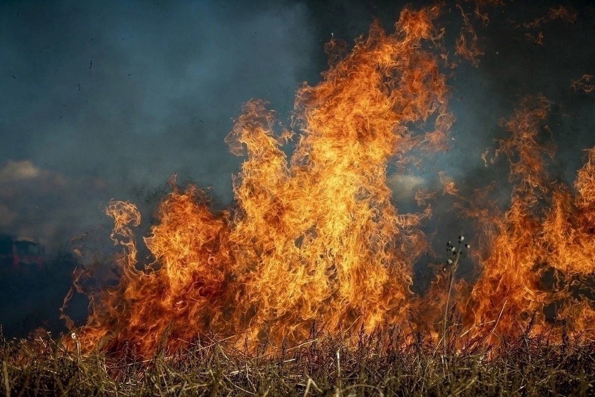 МЧС: 25 и 26 июня в Сасовском районе сохранится чрезвычайная пожарная опасность